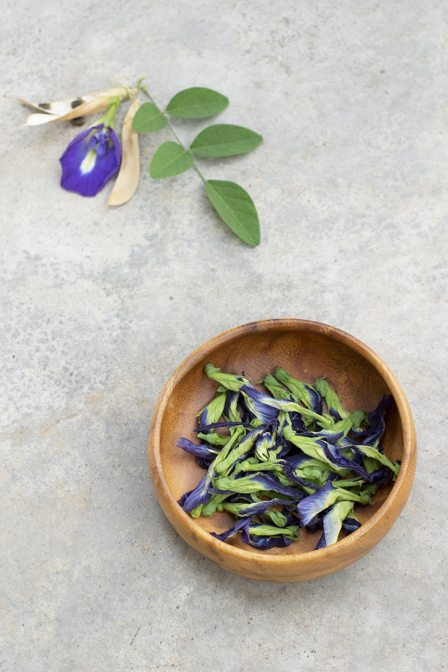 Butterfly Pea Flower